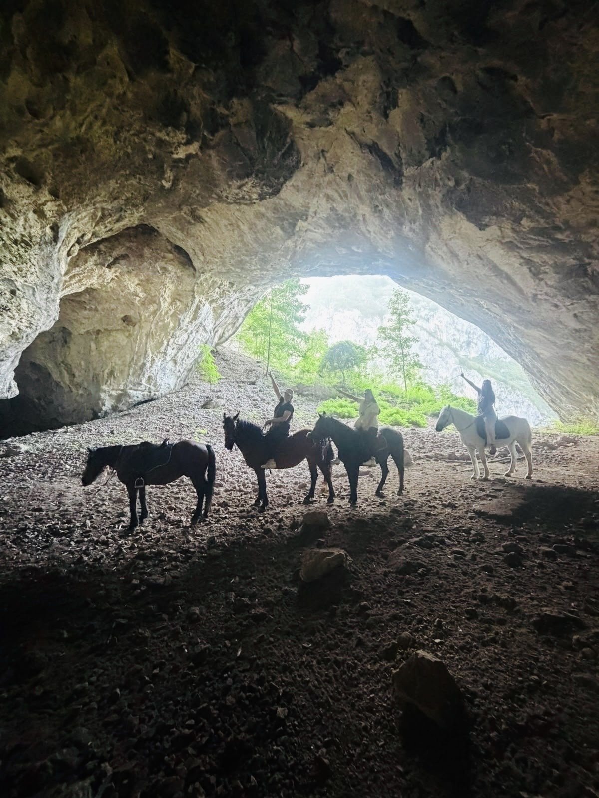 Horses silhouetted inside a cave